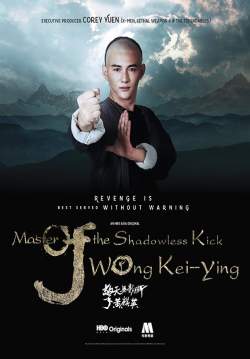 4K Master of the Shadowless Kick