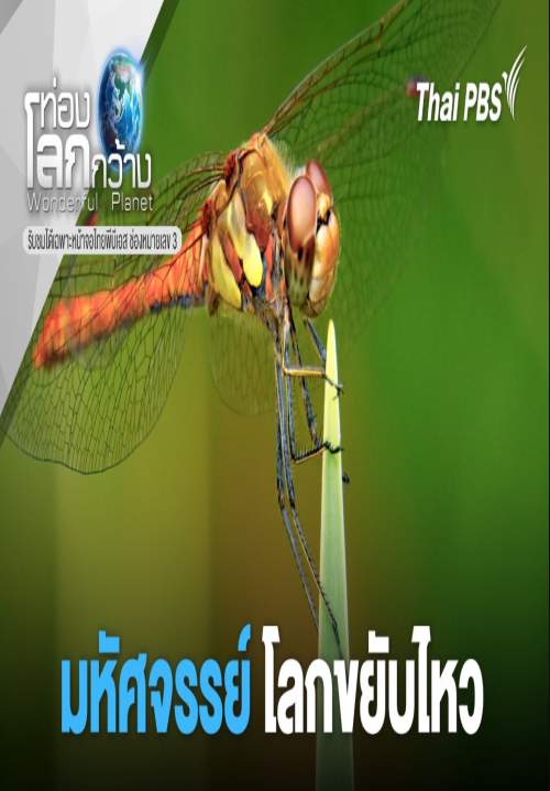 ท่องโลกกว้างมหัศจรรย์โลกขยับไหว (พากย์ไทย) (StreamX)