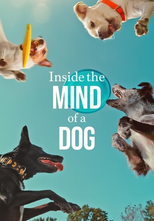 Inside the Mind of a Dog - อ่านใจสุนัข (ซับไทย)