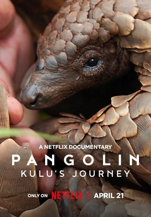 Pangolin: Kulu's Journey - การเดินทางของคูลู (ซับไทย)