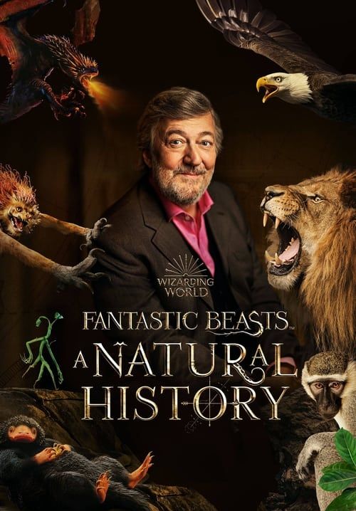 Fantastic Beasts: A Natural History (ซับไทย)
