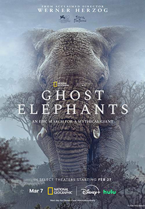 Ghost Elephants (ซับไทย)