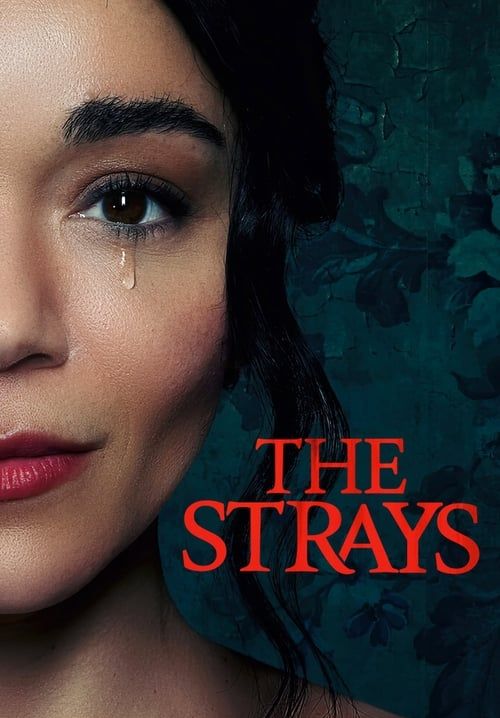 The Strays - คนหลงทาง