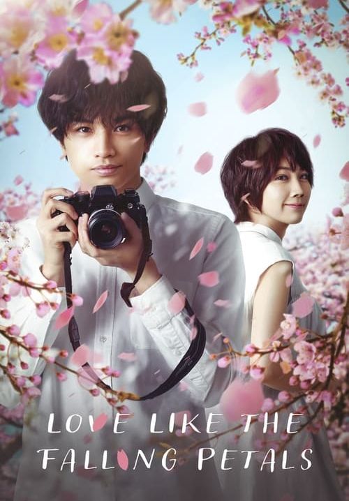 Love Like the Falling Petals - ใบไม้ผลิที่ไม่มีเธอเป็นซากุระ