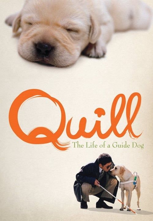 Quill