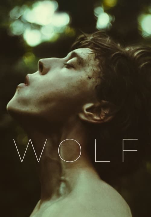 Wolf (ซับไทย)