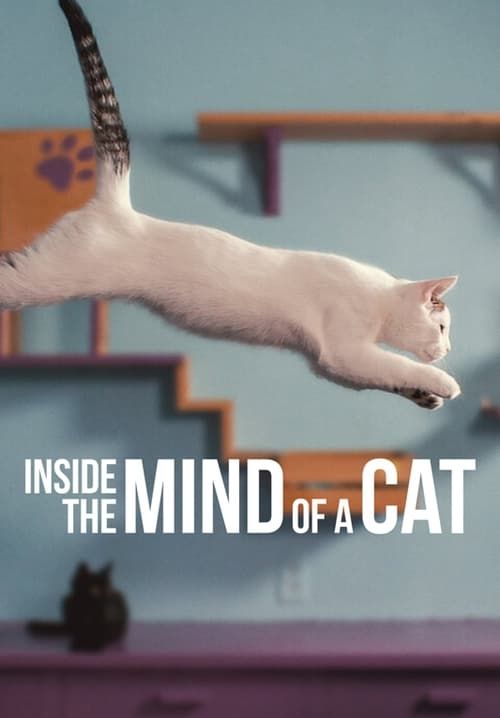 Inside the Mind of a Cat - คิดแบบแมวๆ