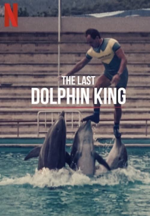 The Last Dolphin King - ราชาโลมาคนสุดท้าย (ซับไทย)