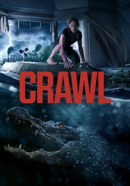 4K Crawl