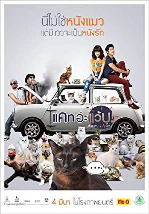 Cat a Wabb 