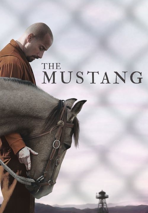 The Mustang - ม้าป่าแสนพยศ