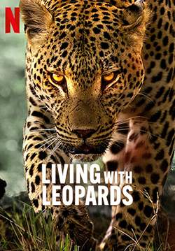 Living with Leopards - อยู่กับเสือดาว (ซับไทย)