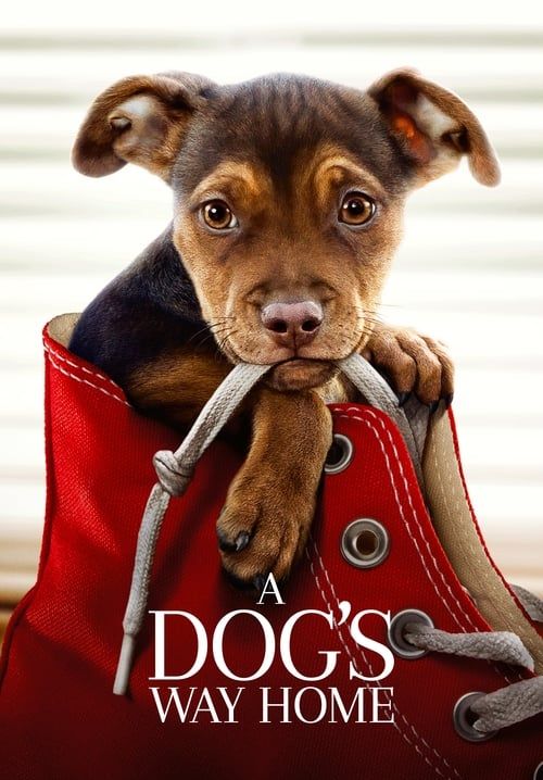4K A Dog's Way Home
