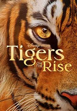 Tigers on the Rise (ซับไทย)