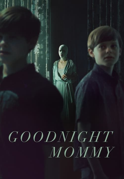 Goodnight Mommy (ซับไทย)