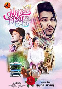 มหาลัยวัวชน 2017