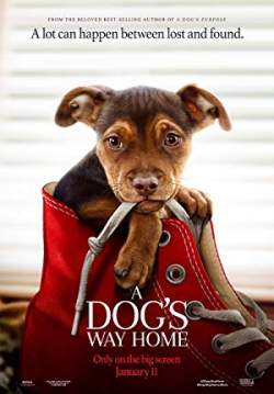 A Dog's Way Home - เพื่อนรักผจญภัยสี่ร้อยไมล์