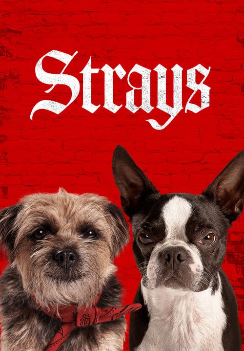 Strays - ชีวิตหมาต้องไม่หมา (ซับไทย)