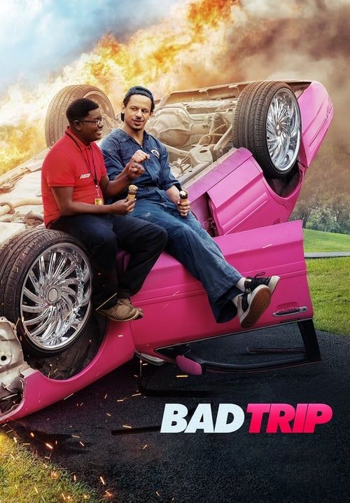 Bad Trip - ทริปป่วนคู่อำ
