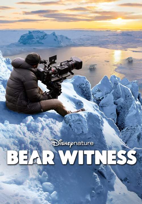 Bear Witness (ซับไทย) (StreamX)