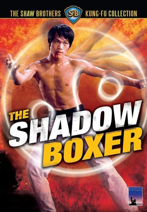 ผู้ยิ่งยงแห่งไทเก๊ก - The Shadow Boxer (พากย์ไทย)