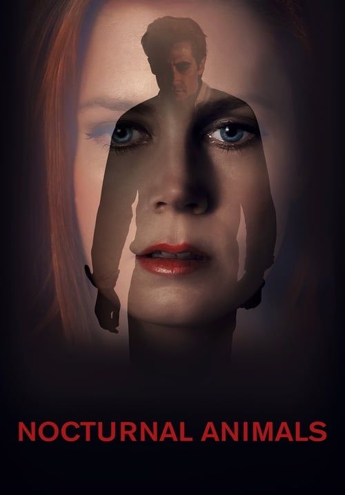 4K Nocturnal Animals