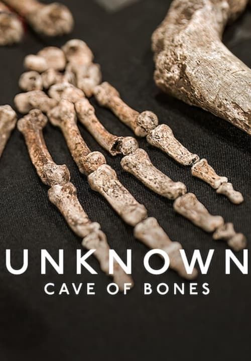 Unknown: Cave of Bones - เปิดโลกลับ: ถ้ำแห่งกองกระดูก (ซับไทย)