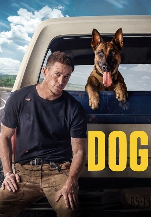 Dog - เพื่อนกันพันธุ์ห้าว
