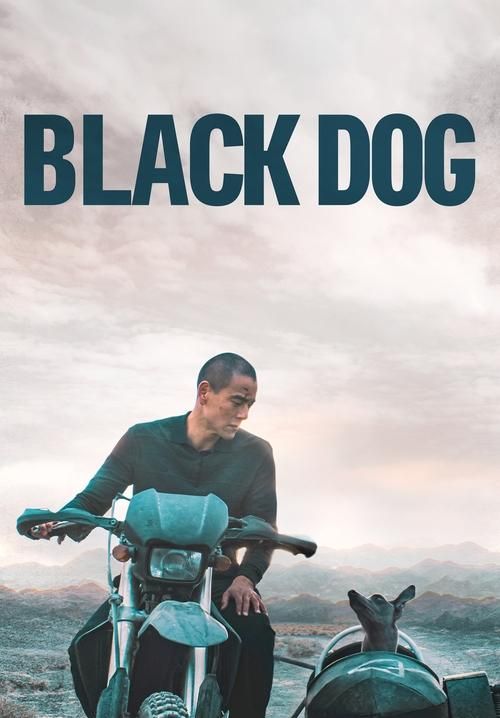 Black Dog - สี่ขาหัวใจไม่ดำ